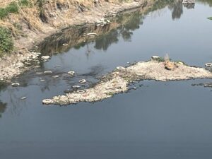 CIERRE DE PRESAS PONE AL DESCUBIERTO LA CONTAMINACIÓN DEL RÍO LERMA CIERRE DE PRESAS PONE AL DESCUBIERTO LA CONTAMINACIÓN DEL RÍO LERMA