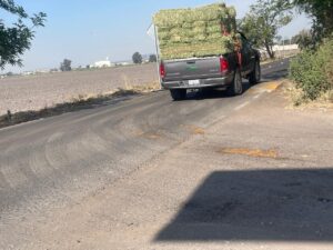 OTRO TIRADERO DE DESECHOS Y DE NUEVA CUENTA PARA OPERACIÓN DEL RASTRO EN SALAMANCA OTRO TIRADERO DE DESECHOS Y DE NUEVA CUENTA PARA OPERACIÓN DEL RASTRO EN SALAMANCA