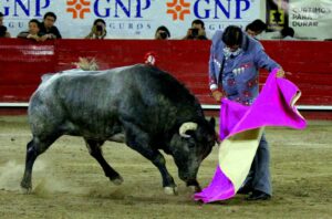 Oreja Gamero, Silveti, Flores y Luis David, Fonseca vuelta y Joselito con Gutierrez nada Oreja Gamero, Silveti, Flores y Luis David, Fonseca vuelta y Joselito con Gutierrez nada