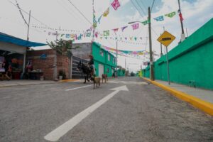 Infraestructura llega a cuentagotas a comunidades rurales de Irapuato Infraestructura llega a cuentagotas a comunidades rurales de Irapuato