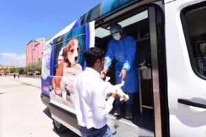 Esterilización gratuita de mascotas en Irapuato este 16 de mayo: conoce requisitos y ubicación Esterilización gratuita de mascotas en Irapuato este 16 de mayo: conoce requisitos y ubicación
