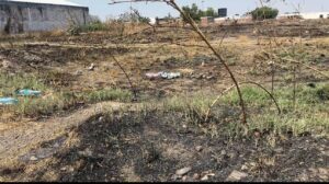 Irapuato enfrenta cerca de 10 incendios forestales durante la temporada de estiaje Irapuato enfrenta cerca de 10 incendios forestales durante la temporada de estiaje