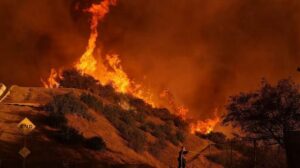 Los Ángeles inicia reconstrucción tras incendios que destruyeron 17 mil estructuras Los Ángeles inicia reconstrucción tras incendios que destruyeron 17 mil estructuras