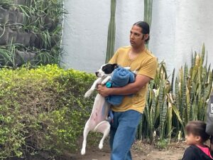 REALIZAN UNA MEGA CAMPAÑA PARA ESTERILIZAR PERROS Y GATOS REALIZAN UNA MEGA CAMPAÑA PARA ESTERILIZAR PERROS Y GATOS