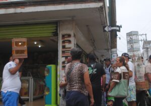Omisión del municipio permite la venta ilegal de aves alrededor del tianguis de los miércoles Omisión del municipio permite la venta ilegal de aves alrededor del tianguis de los miércoles