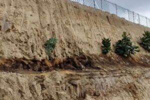 Habitantes de Cholula reforestan basurero ante contaminación y uso ilegal Habitantes de Cholula reforestan basurero ante contaminación y uso ilegal