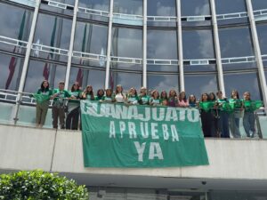 ONU pide a Guanajuato despenalizar el aborto ONU pide a Guanajuato despenalizar el aborto