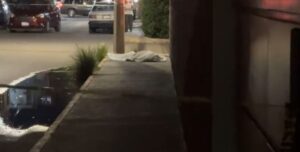 Apuñalan y matan a “Rafita” en la colonia La Hacienda Apuñalan y matan a “Rafita” en la colonia La Hacienda