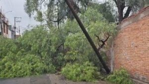 TORMENTA CAUSA ENCHARCAMIENTOS Y CAÍDA DE ÁRBOLES EN LA ZONA URBANA TORMENTA CAUSA ENCHARCAMIENTOS Y CAÍDA DE ÁRBOLES EN LA ZONA URBANA