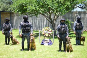 “Chato” se va con honores tras una vida de servicio en Irapuato “Chato” se va con honores tras una vida de servicio en Irapuato