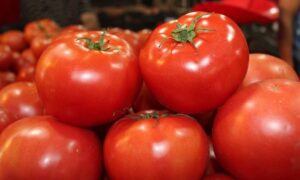 Llaman PAN y PRD a defender a productores de jitomate tras nuevos aranceles de EE.UU. Llaman PAN y PRD a defender a productores de jitomate tras nuevos aranceles de EE.UU.