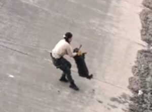 Guardabosques de Guadalajara rescatan a perro atrapado en canal de aguas negras (VÍDEO) Guardabosques de Guadalajara rescatan a perro atrapado en canal de aguas negras (VÍDEO)