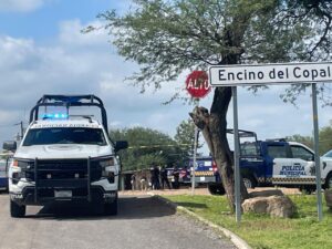 Localizan restos humanos en campos de la comunidad Encino del Copal en Irapuato Localizan restos humanos en campos de la comunidad Encino del Copal en Irapuato