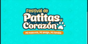 Primer festival Patitas y Corazón llega a Irapuato con actividades para mascotas y familias Primer festival Patitas y Corazón llega a Irapuato con actividades para mascotas y familias