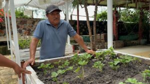 Irapuatenses luchan por rescatar su fresa: tecnología y tradición en riesgo Irapuatenses luchan por rescatar su fresa: tecnología y tradición en riesgo