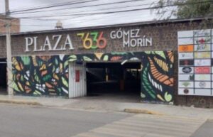Secretario de Seguridad en Irapuato pide a establecimientos reforzarse con seguridad privada Secretario de Seguridad en Irapuato pide a establecimientos reforzarse con seguridad privada
