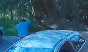 Enfrentamiento en Irapuato por rescate de perro deja dos detenidos Enfrentamiento en Irapuato por rescate de perro deja dos detenidos