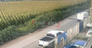 Muere joven motociclista al chocar contra un poste en el camino de San Javier al Guayabo Muere joven motociclista al chocar contra un poste en el camino de San Javier al Guayabo