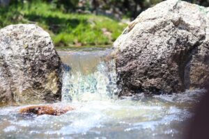 Iniciará construcción de la “Línea Morada” para regar áreas verdes con agua tratada en Irapuato Iniciará construcción de la “Línea Morada” para regar áreas verdes con agua tratada en Irapuato