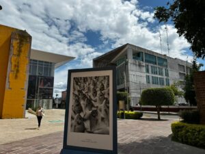 Irapuato inaugura actividades del Festival Internacional Cervantino como municipio sede Irapuato inaugura actividades del Festival Internacional Cervantino como municipio sede