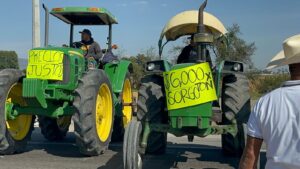Productores del Bajío elevan tono: califican de simulación el acuerdo por el maíz Productores del Bajío elevan tono: califican de simulación el acuerdo por el maíz