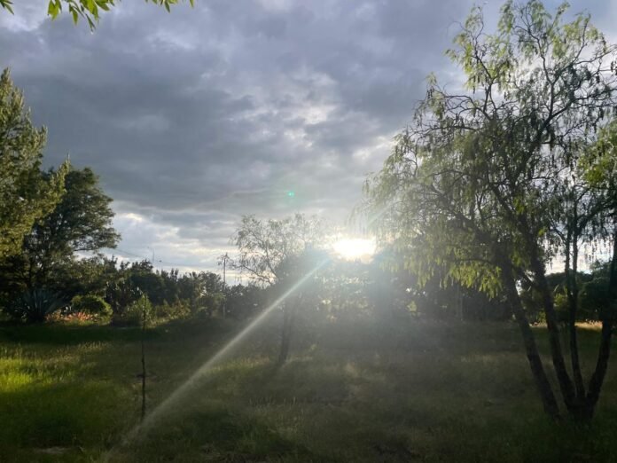 preveen heladas en guanajuato