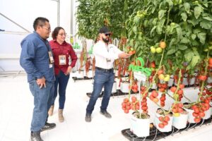 Innovación y tecnología marcan la Expo Agroalimentaria Guanajuato 2025 Innovación y tecnología marcan la Expo Agroalimentaria Guanajuato 2025