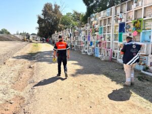 Saldo blanco durante celebraciones de Todos Santos en Irapuato: reporta la SSCM Saldo blanco durante celebraciones de Todos Santos en Irapuato: reporta la SSCM