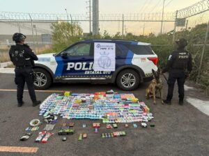 Binomio canino de las FSPE asegura vapeadores y drogas por más de 347 mil pesos Binomio canino de las FSPE asegura vapeadores y drogas por más de 347 mil pesos