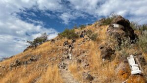 Cerro de Arandas y la Presa La Purísima cumplen 20 años protegiendo la biodiversidad y el agua de Guanajuato Cerro de Arandas y la Presa La Purísima cumplen 20 años protegiendo la biodiversidad y el agua de Guanajuato