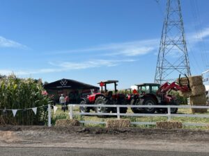 Baja afluencia marca el inicio del 30 aniversario de la Expo Agroalimentaria en Irapuato Baja afluencia marca el inicio del 30 aniversario de la Expo Agroalimentaria en Irapuato