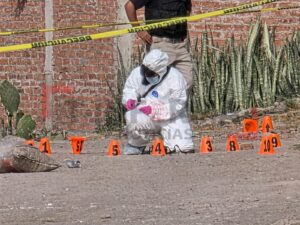 Asesinan a hombre a balazos en Carrizal Grande de Irapuato Asesinan a hombre a balazos en Carrizal Grande de Irapuato