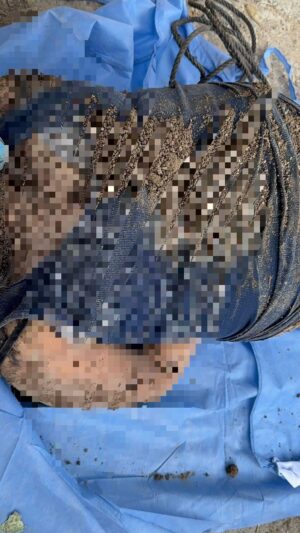 Encuentran cuerpo enterrado de mujer en casa abandonada de Villa de Cárdenas en Irapuato Encuentran cuerpo enterrado de mujer en casa abandonada de Villa de Cárdenas en Irapuato