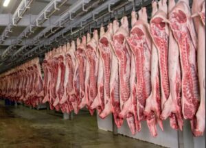 Ganaderos de Salamanca molestos por prohibición de sacrificar porcinos mayores a 180 kilos Ganaderos de Salamanca molestos por prohibición de sacrificar porcinos mayores a 180 kilos