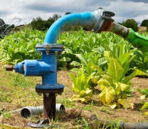 Amplían hasta abril de 2026 registro al programa PEUA para productores agrícolas Amplían hasta abril de 2026 registro al programa PEUA para productores agrícolas