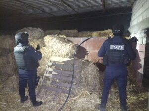 Asegura FSPE más de 13 mil litros de hidrocarburo y toma clandestina en Celaya Asegura FSPE más de 13 mil litros de hidrocarburo y toma clandestina en Celaya