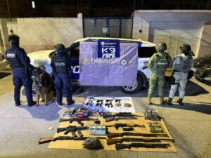 Unidad Canina K9 frustra envío de armas y droga en paquetería de Salamanca Unidad Canina K9 frustra envío de armas y droga en paquetería de Salamanca