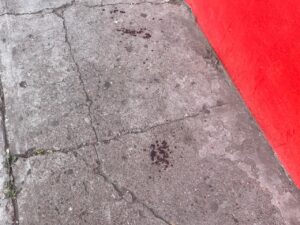 Cables colgantes dejan lesionado a hombre con discapacidad en Salamanca Cables colgantes dejan lesionado a hombre con discapacidad en Salamanca