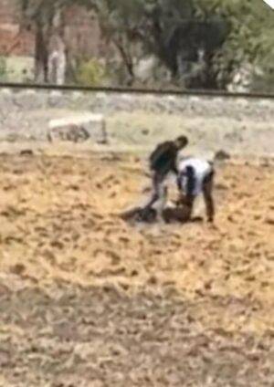 Balacera y persecución de Salamanca a Villagrán deja dos detenidos y daños en patrulla Balacera y persecución de Salamanca a Villagrán deja dos detenidos y daños en patrulla