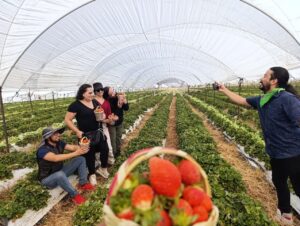 Irapuato llevará su cultura y oferta económica al festival MXLAN en Texas Irapuato llevará su cultura y oferta económica al festival MXLAN en Texas