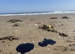 Gobierno federal despliega operativo en el Golfo por presencia de hidrocarburos; suman 128 toneladas recolectadas Gobierno federal despliega operativo en el Golfo por presencia de hidrocarburos; suman 128 toneladas recolectadas