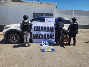 Detectan más de 13 mil dosis de presunta droga en paquetería en Irapuato y León Detectan más de 13 mil dosis de presunta droga en paquetería en Irapuato y León