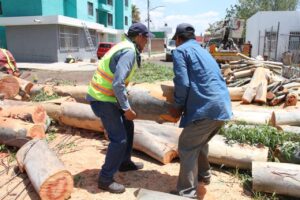 Refuerzan limpieza y reparación tras lluvias y vientos en Irapuato Refuerzan limpieza y reparación tras lluvias y vientos en Irapuato