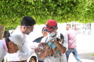 Irapuato mantiene vacunación antirrábica permanente; suman más de tres décadas sin casos Irapuato mantiene vacunación antirrábica permanente; suman más de tres décadas sin casos