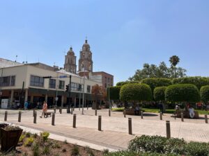 Grupos de izquierda convocan a marcha en Irapuato por seguridad, cobros de JAPAMI y servicios públicos Grupos de izquierda convocan a marcha en Irapuato por seguridad, cobros de JAPAMI y servicios públicos
