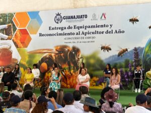 Irapuato reconoce a apicultores y promueve el cuidado de las abejas con concurso y entrega de apoyos Irapuato reconoce a apicultores y promueve el cuidado de las abejas con concurso y entrega de apoyos