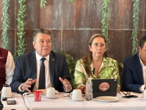 Morena en Irapuato acusa falta de coordinación del PAN y reta a investigar a sus representantes Morena en Irapuato acusa falta de coordinación del PAN y reta a investigar a sus representantes