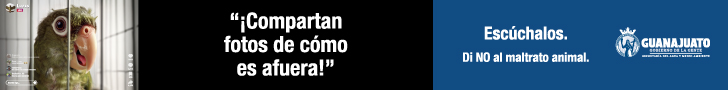 spot_img