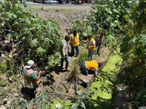 INVESTIGAN AFLUENTES PARA PREVENIR CRIADEROS DE MOSCOS TRANSMISORES DE ENFERMEDADES INVESTIGAN AFLUENTES PARA PREVENIR CRIADEROS DE MOSCOS TRANSMISORES DE ENFERMEDADES