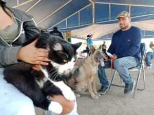 Defiende Alcaldesa política animalista en Irapuato tras críticas por eutanasia Defiende Alcaldesa política animalista en Irapuato tras críticas por eutanasia